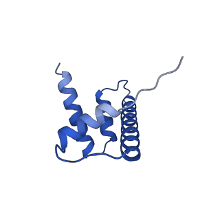 22790_7kbd_D_v1-1
Nucleosome in interphase chromosome formed in Xenopus egg extract (oligo fraction)