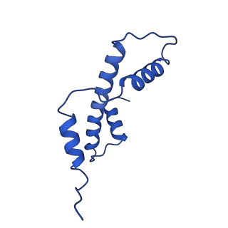 22790_7kbd_E_v1-1
Nucleosome in interphase chromosome formed in Xenopus egg extract (oligo fraction)