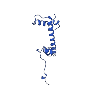 22790_7kbd_G_v1-1
Nucleosome in interphase chromosome formed in Xenopus egg extract (oligo fraction)