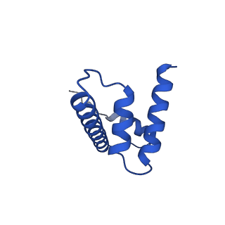22790_7kbd_H_v1-1
Nucleosome in interphase chromosome formed in Xenopus egg extract (oligo fraction)