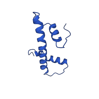 22791_7kbe_B_v1-1
Nucleosome isolated from metaphase chromosome formed in Xenopus egg extract (oligo fraction)