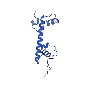22791_7kbe_C_v1-1
Nucleosome isolated from metaphase chromosome formed in Xenopus egg extract (oligo fraction)