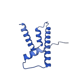 22791_7kbe_D_v1-1
Nucleosome isolated from metaphase chromosome formed in Xenopus egg extract (oligo fraction)