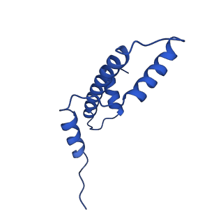 22791_7kbe_E_v1-1
Nucleosome isolated from metaphase chromosome formed in Xenopus egg extract (oligo fraction)