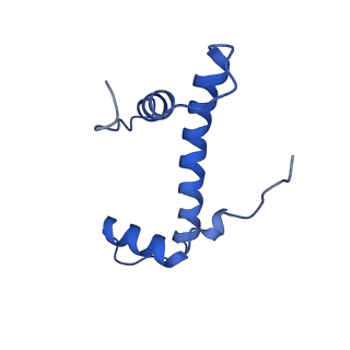 22791_7kbe_F_v1-1
Nucleosome isolated from metaphase chromosome formed in Xenopus egg extract (oligo fraction)