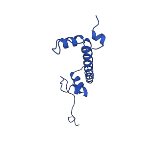 22791_7kbe_G_v1-1
Nucleosome isolated from metaphase chromosome formed in Xenopus egg extract (oligo fraction)