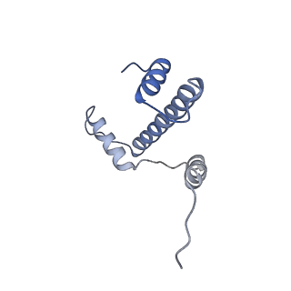 22792_7kbf_A_v1-1
H1.8 bound nucleosome isolated from metaphase chromosome in Xenopus egg extract (oligo fraction)