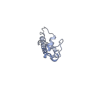 22792_7kbf_C_v1-1
H1.8 bound nucleosome isolated from metaphase chromosome in Xenopus egg extract (oligo fraction)