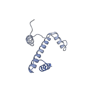 22792_7kbf_E_v1-1
H1.8 bound nucleosome isolated from metaphase chromosome in Xenopus egg extract (oligo fraction)