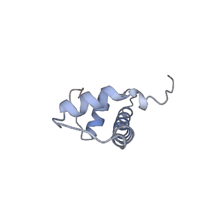 22792_7kbf_F_v1-1
H1.8 bound nucleosome isolated from metaphase chromosome in Xenopus egg extract (oligo fraction)