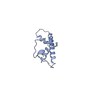 22792_7kbf_G_v1-1
H1.8 bound nucleosome isolated from metaphase chromosome in Xenopus egg extract (oligo fraction)