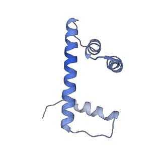 22792_7kbf_H_v1-1
H1.8 bound nucleosome isolated from metaphase chromosome in Xenopus egg extract (oligo fraction)