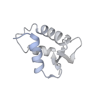 22792_7kbf_K_v1-1
H1.8 bound nucleosome isolated from metaphase chromosome in Xenopus egg extract (oligo fraction)