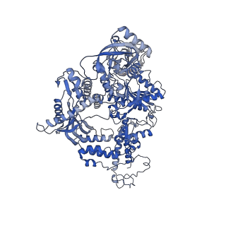 22803_7kc0_A_v1-1
Structure of the Saccharomyces cerevisiae replicative polymerase delta in complex with a primer/template and the PCNA clamp
