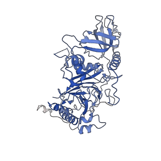 22803_7kc0_B_v1-1
Structure of the Saccharomyces cerevisiae replicative polymerase delta in complex with a primer/template and the PCNA clamp