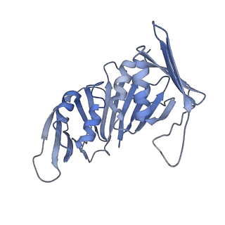 22803_7kc0_F_v1-1
Structure of the Saccharomyces cerevisiae replicative polymerase delta in complex with a primer/template and the PCNA clamp
