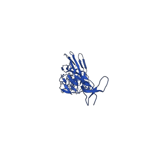 22804_7kc1_A_v1-1
Cryo-EM structure of SRR2899884.46167H+MEDI8852L fab in complex with Victoria HA