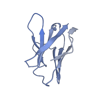 22804_7kc1_F_v1-1
Cryo-EM structure of SRR2899884.46167H+MEDI8852L fab in complex with Victoria HA