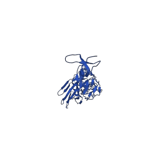 22804_7kc1_G_v1-1
Cryo-EM structure of SRR2899884.46167H+MEDI8852L fab in complex with Victoria HA