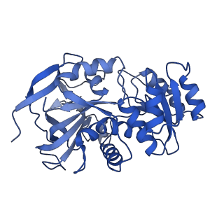 22805_7kc2_A_v1-0
Symmetry in Yeast Alcohol Dehydrogenase 1 -Closed Form with NADH