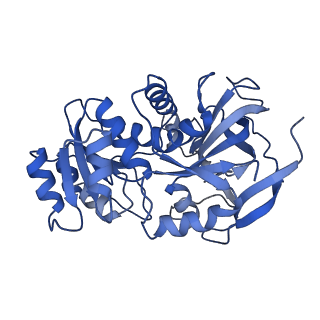22805_7kc2_B_v1-0
Symmetry in Yeast Alcohol Dehydrogenase 1 -Closed Form with NADH