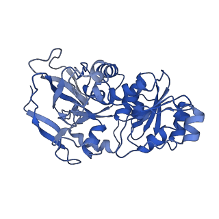 22805_7kc2_C_v1-0
Symmetry in Yeast Alcohol Dehydrogenase 1 -Closed Form with NADH