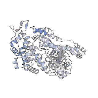 22808_7kch_A_v1-3
Myosin XI-F-actin complex