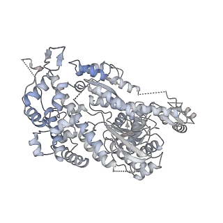 22808_7kch_A_v1-4
Myosin XI-F-actin complex