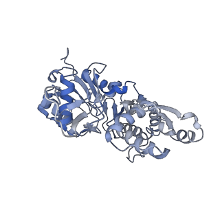 22808_7kch_B_v1-3
Myosin XI-F-actin complex