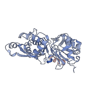22808_7kch_C_v1-3
Myosin XI-F-actin complex