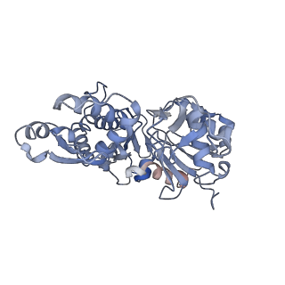 22808_7kch_C_v1-4
Myosin XI-F-actin complex