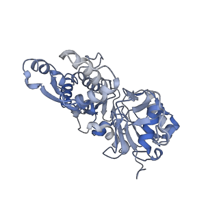 22808_7kch_G_v1-3
Myosin XI-F-actin complex
