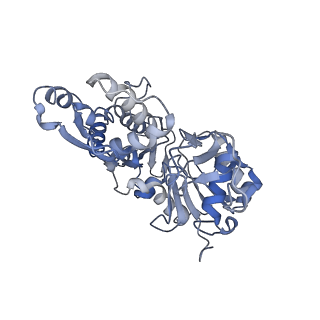 22808_7kch_G_v1-4
Myosin XI-F-actin complex