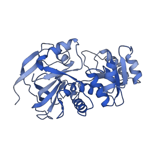 22817_7kcq_A_v1-0
Symmetry in Yeast Alcohol Dehydrogenase 1 -Open Form of Apoenzyme