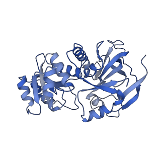 22817_7kcq_C_v1-0
Symmetry in Yeast Alcohol Dehydrogenase 1 -Open Form of Apoenzyme
