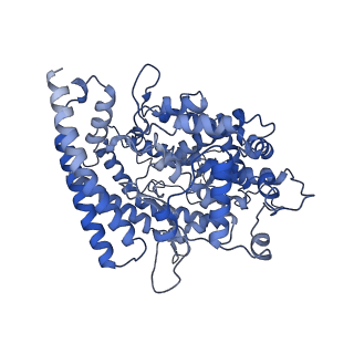 37090_8kc2_A_v1-0
Cryo-EM structure of SARS-CoV-2 BA.3 RBD in complex with golden hamster ACE2 (local refinement)
