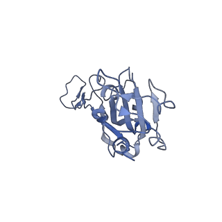 37090_8kc2_E_v1-0
Cryo-EM structure of SARS-CoV-2 BA.3 RBD in complex with golden hamster ACE2 (local refinement)