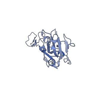 37090_8kc2_E_v1-2
Cryo-EM structure of SARS-CoV-2 BA.3 RBD in complex with golden hamster ACE2 (local refinement)