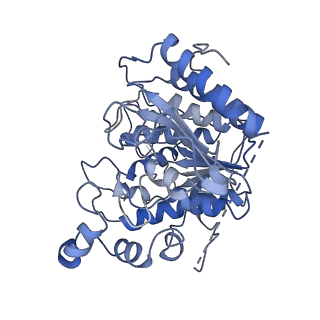37096_8kc7_A_v1-2
Rpd3S histone deacetylase complex
