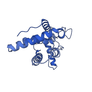 37096_8kc7_D_v1-2
Rpd3S histone deacetylase complex