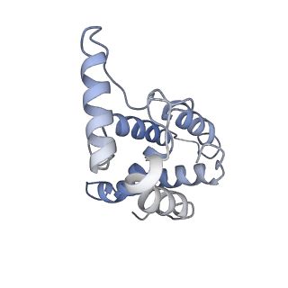 37096_8kc7_F_v1-2
Rpd3S histone deacetylase complex