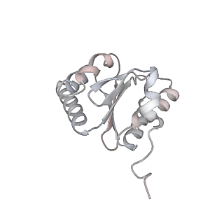8237_5kcr_1J_v1-1
Cryo-EM structure of the Escherichia coli 70S ribosome in complex with antibiotic Avilamycin C, mRNA and P-site tRNA at 3.6A resolution