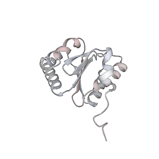 8237_5kcr_1J_v2-2
Cryo-EM structure of the Escherichia coli 70S ribosome in complex with antibiotic Avilamycin C, mRNA and P-site tRNA at 3.6A resolution