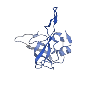 8237_5kcr_1O_v1-1
Cryo-EM structure of the Escherichia coli 70S ribosome in complex with antibiotic Avilamycin C, mRNA and P-site tRNA at 3.6A resolution