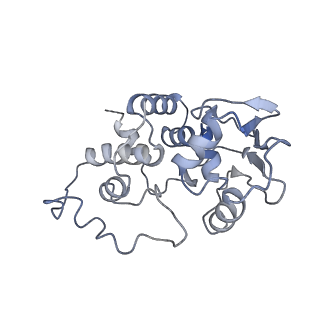 8237_5kcr_1d_v1-1
Cryo-EM structure of the Escherichia coli 70S ribosome in complex with antibiotic Avilamycin C, mRNA and P-site tRNA at 3.6A resolution