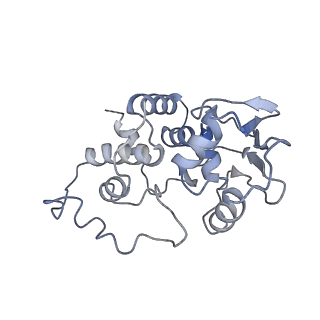 8237_5kcr_1d_v2-2
Cryo-EM structure of the Escherichia coli 70S ribosome in complex with antibiotic Avilamycin C, mRNA and P-site tRNA at 3.6A resolution