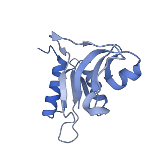 8237_5kcr_1h_v1-1
Cryo-EM structure of the Escherichia coli 70S ribosome in complex with antibiotic Avilamycin C, mRNA and P-site tRNA at 3.6A resolution