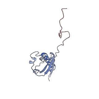 8237_5kcr_1i_v1-1
Cryo-EM structure of the Escherichia coli 70S ribosome in complex with antibiotic Avilamycin C, mRNA and P-site tRNA at 3.6A resolution