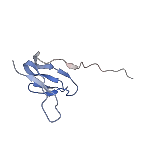 8238_5kcs_10_v1-1
Cryo-EM structure of the Escherichia coli 70S ribosome in complex with antibiotic Evernimycin, mRNA, TetM and P-site tRNA at 3.9A resolution