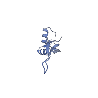 8238_5kcs_11_v1-1
Cryo-EM structure of the Escherichia coli 70S ribosome in complex with antibiotic Evernimycin, mRNA, TetM and P-site tRNA at 3.9A resolution